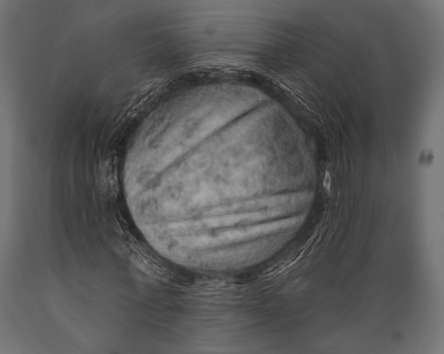 X0000088870771200706291539