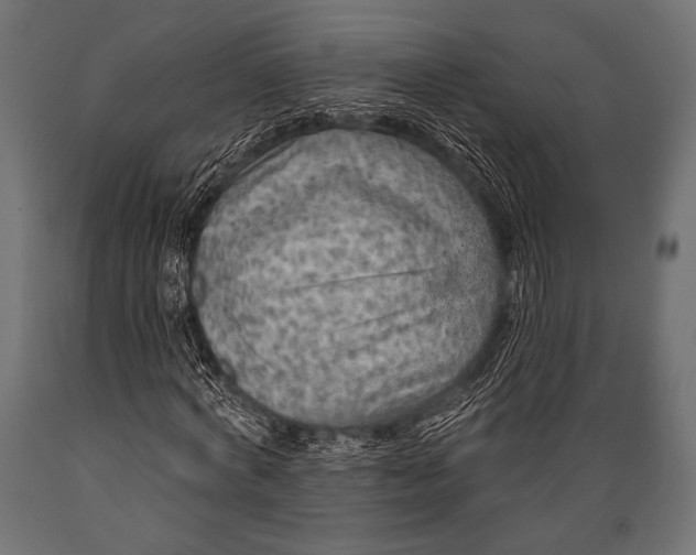 X0000088870772200706291539
