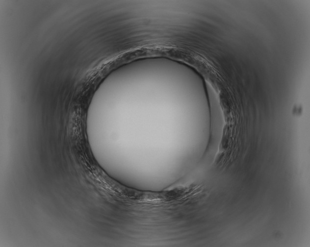 X0000088870773200706291539
