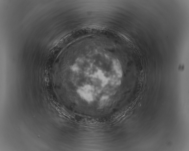 X0000088870774200706291539