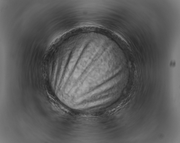 X0000088870775200706291539