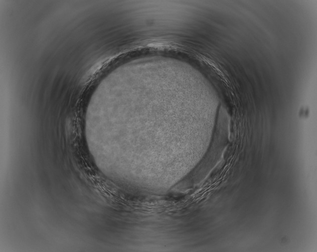 X0000088870776200706291539