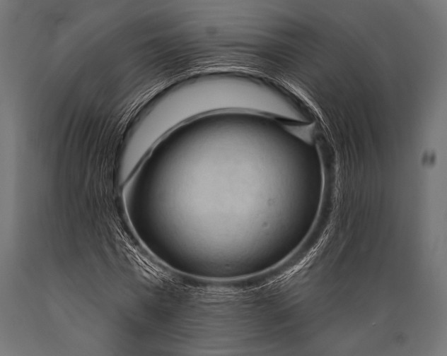 X0000088870777200706291539