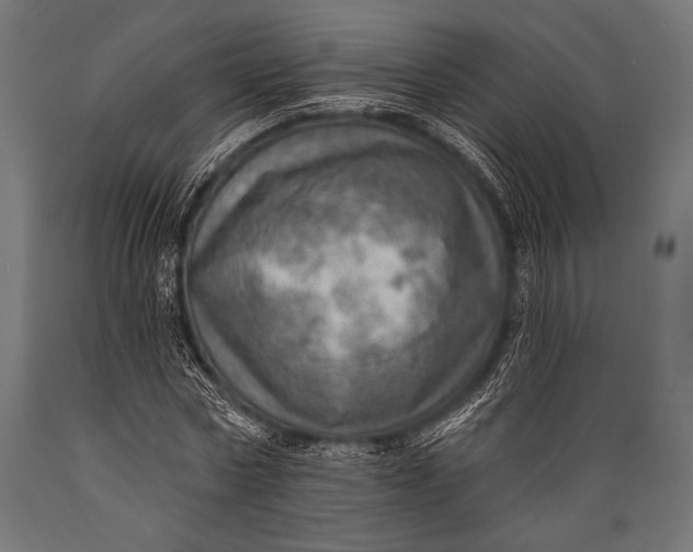 X0000088870778200706291539