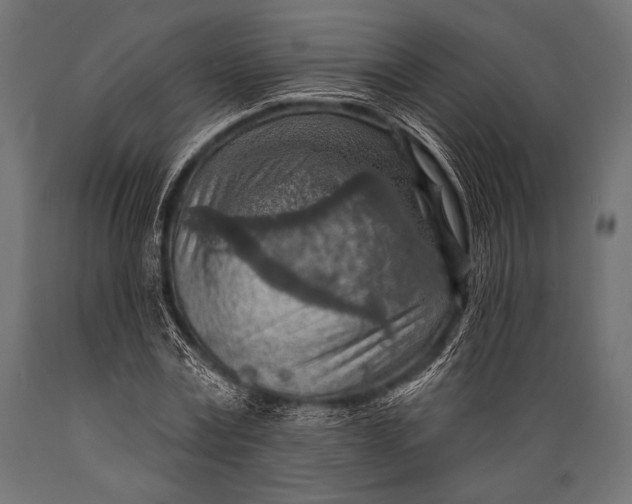 X0000088870779200706291539