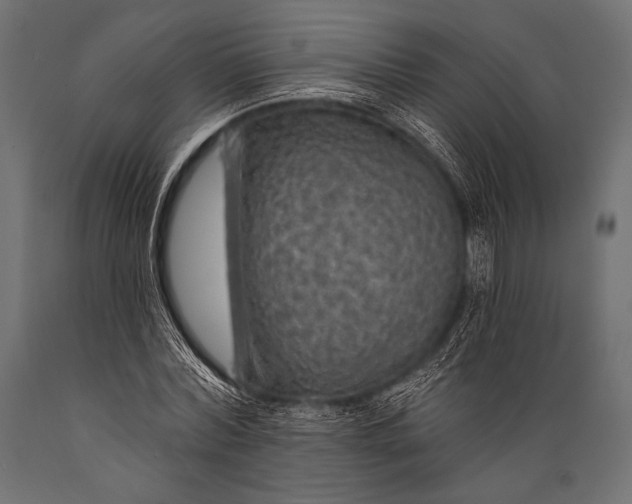 X0000088870780200706291539
