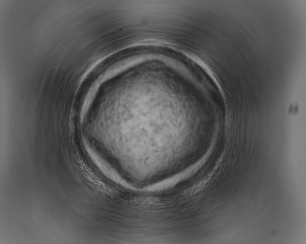 X0000088870783200706291539