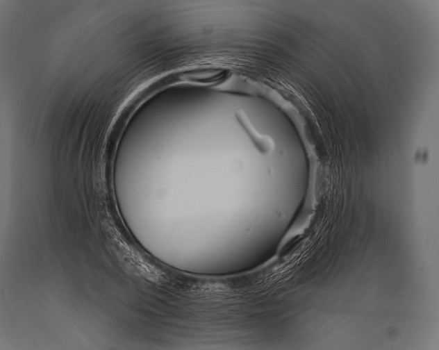 X0000088870784200706291539