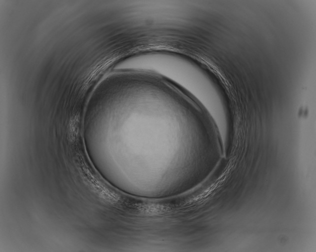 X0000088870785200706291539