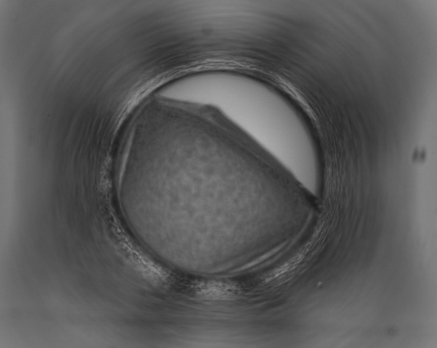 X0000088870786200706291539