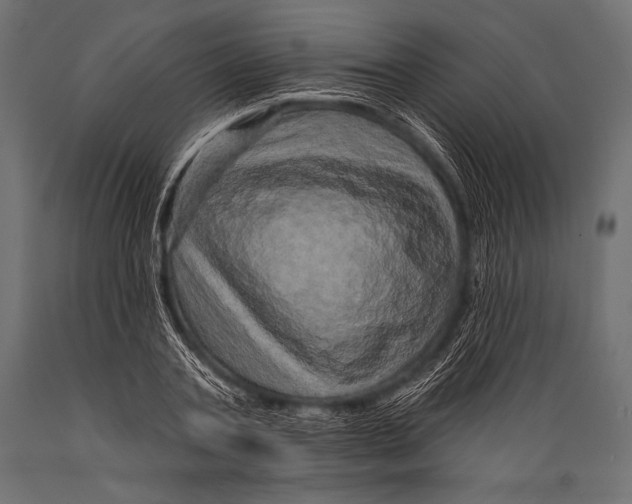 X0000088870787200706291539