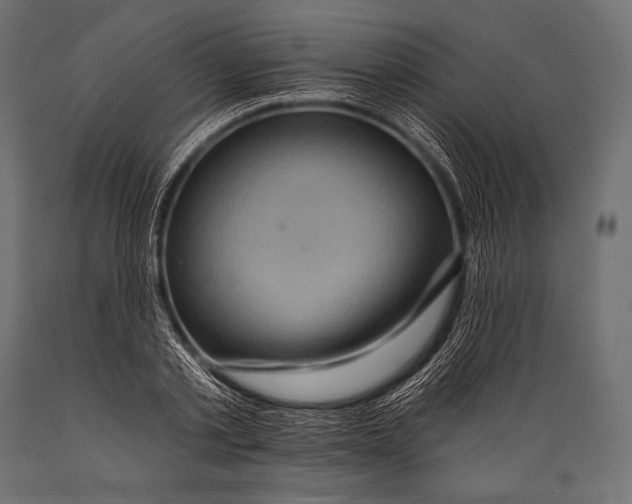 X0000088870789200706291539