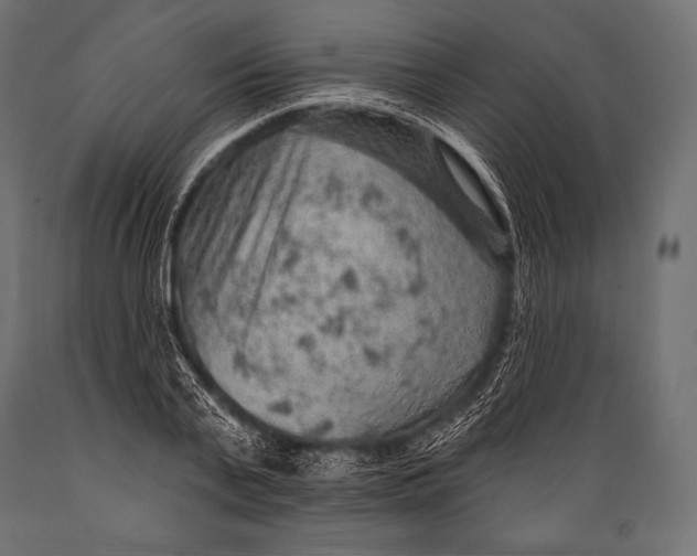 X0000088870791200706291539
