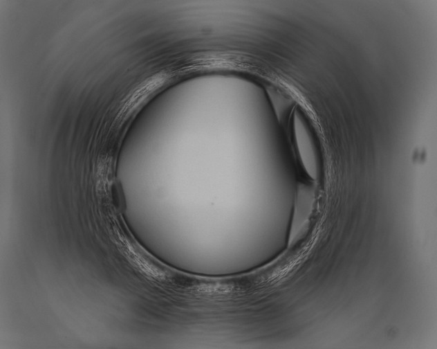 X0000088870793200706291539