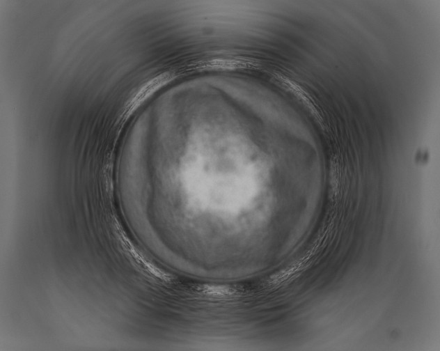 X0000088870794200706291539
