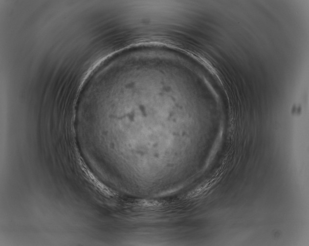 X0000088870799200706291539
