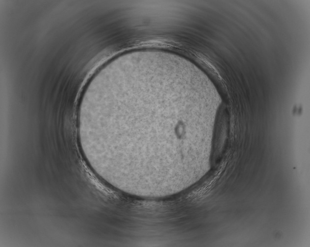 X0000088870800200706291539