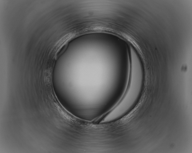 X0000088870801200706291539