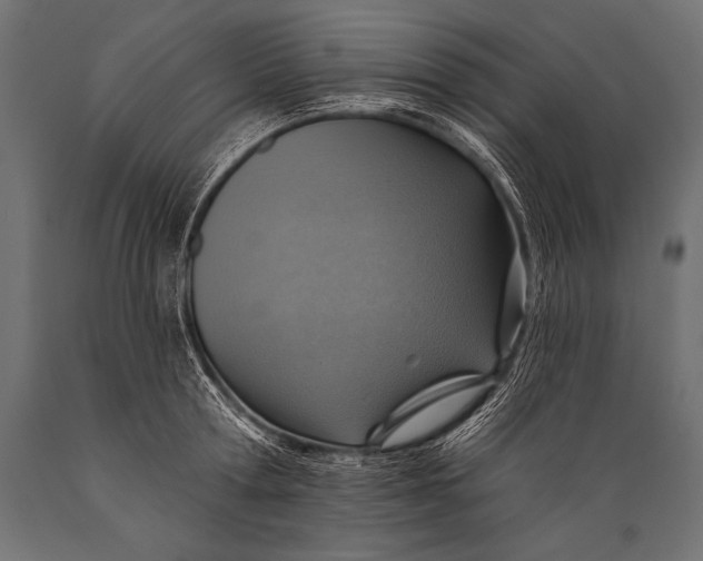 X0000088870802200706291539