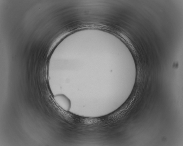 X0000088870804200706291539