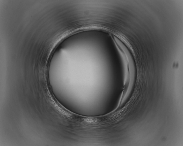 X0000088870805200706291539