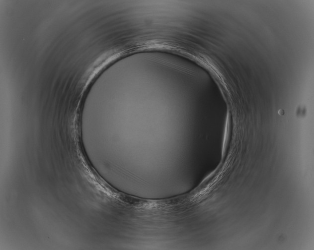 X0000088870806200706291539