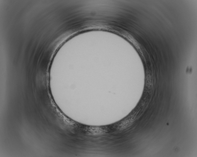 X0000088870807200706291539