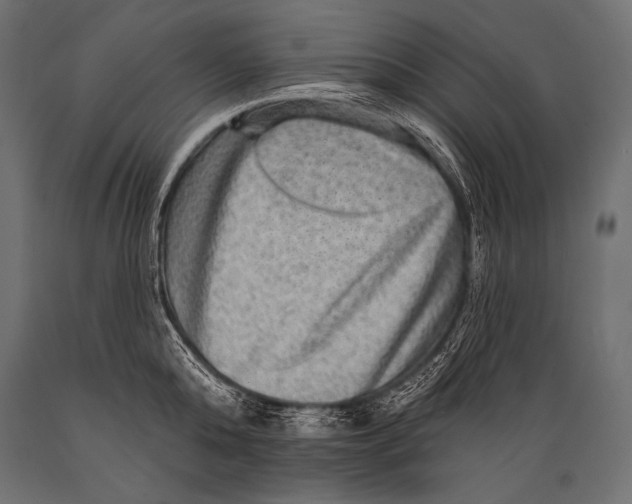 X0000088870808200706291539