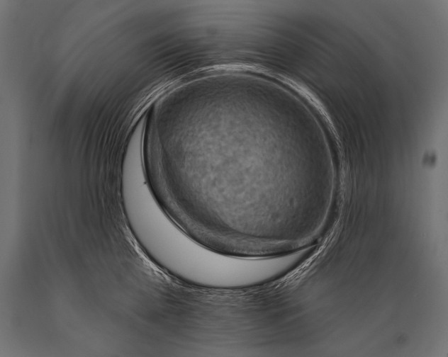 X0000088870809200706291539