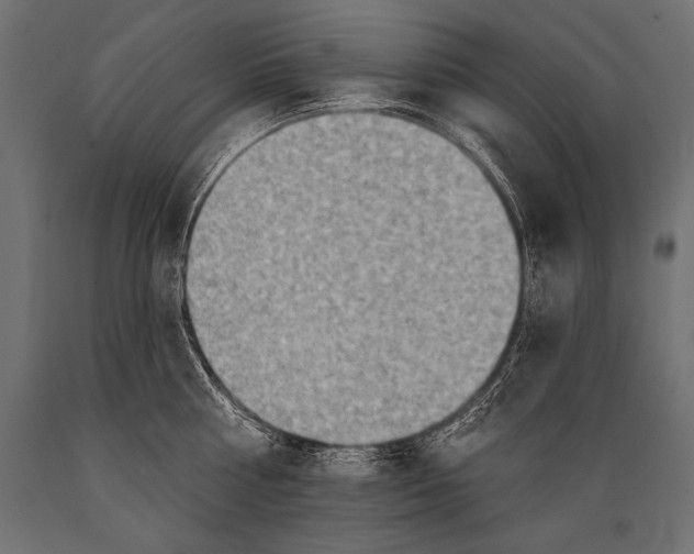X0000088870810200706291539
