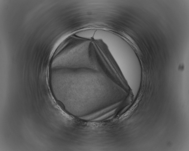 X0000088870812200706291539