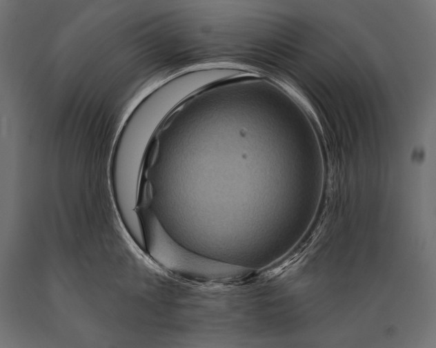 X0000088870813200706291539