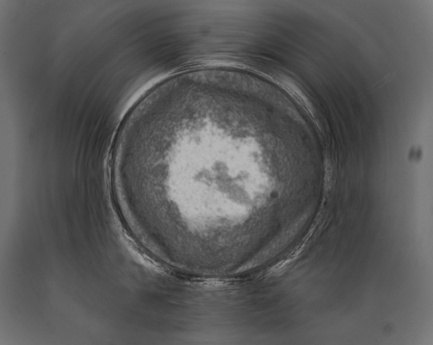 X0000088870814200706291539