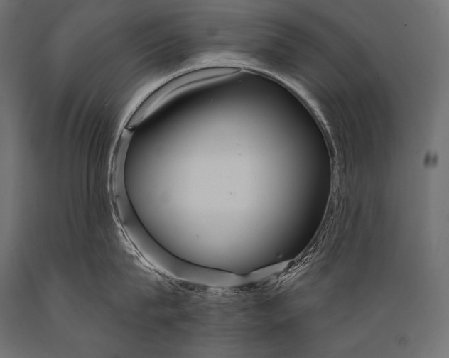 X0000088870815200706291539