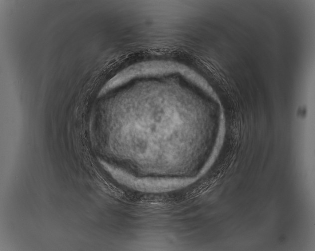X0000088870817200706291538