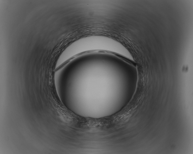X0000088870818200706291538