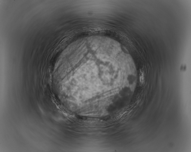 X0000088870819200706291538