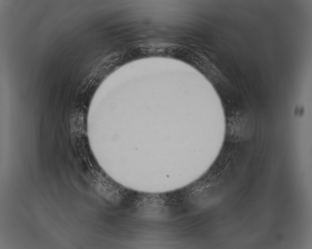 X0000088870820200706291538