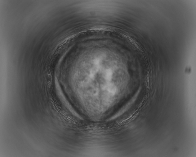 X0000088870821200706291538