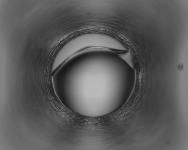 X0000088870822200706291538