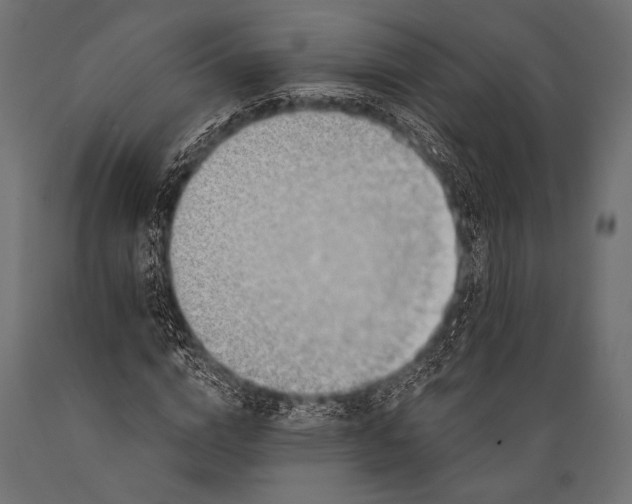 X0000088870824200706291538
