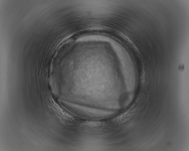 X0000088870825200706291538