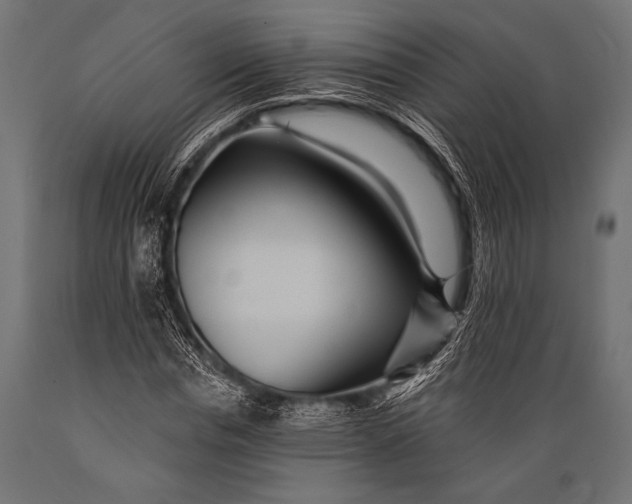 X0000088870826200706291538