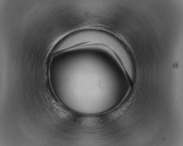 X0000088870830200706291538