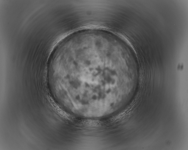 X0000088870831200706291538