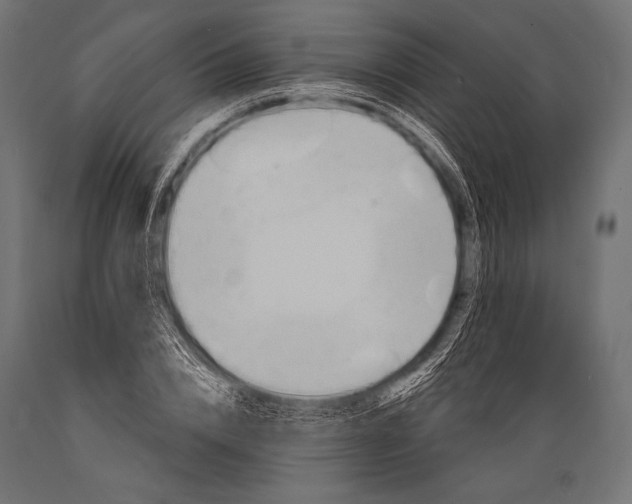 X0000088870832200706291538