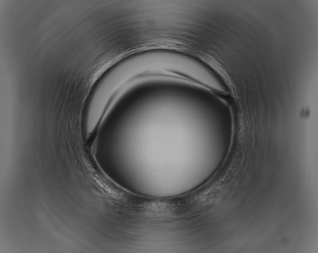 X0000088870834200706291538