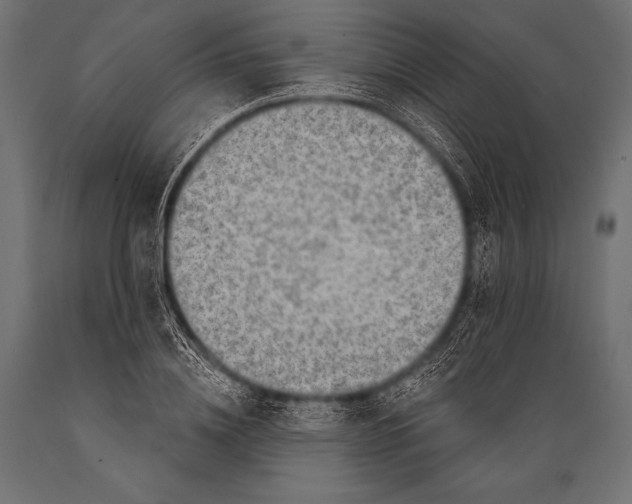 X0000088870836200706291538