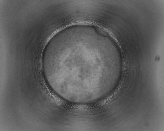X0000088870837200706291538