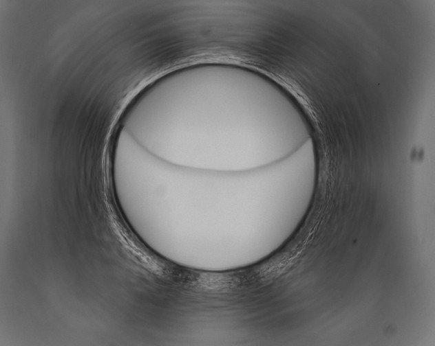 X0000088870840200706291538